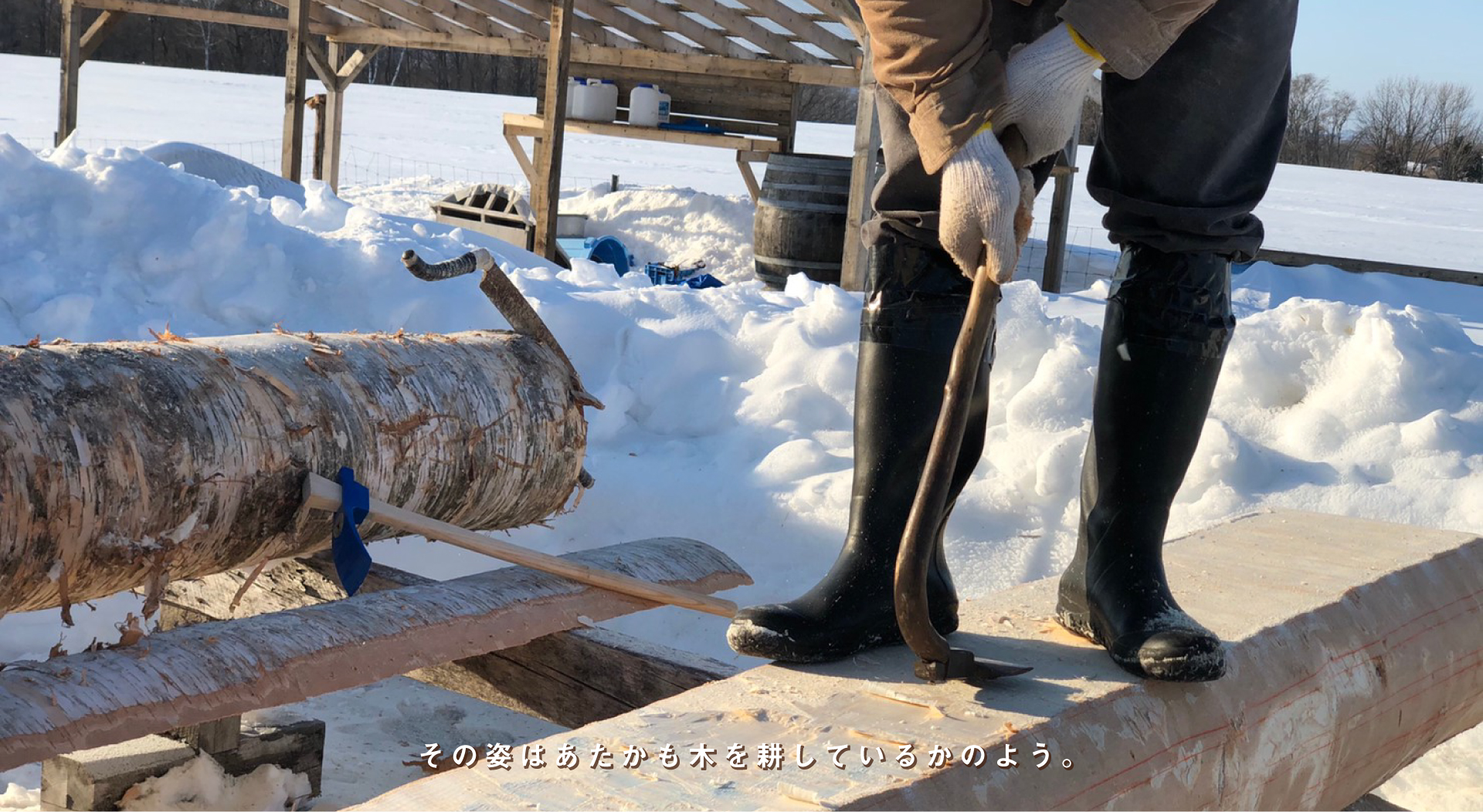 その姿はあたかも木を耕しているかのよう。